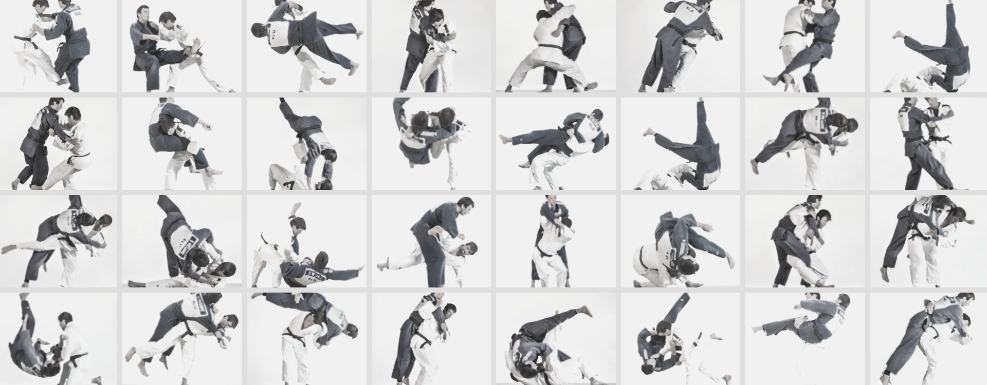 Judo tehnike