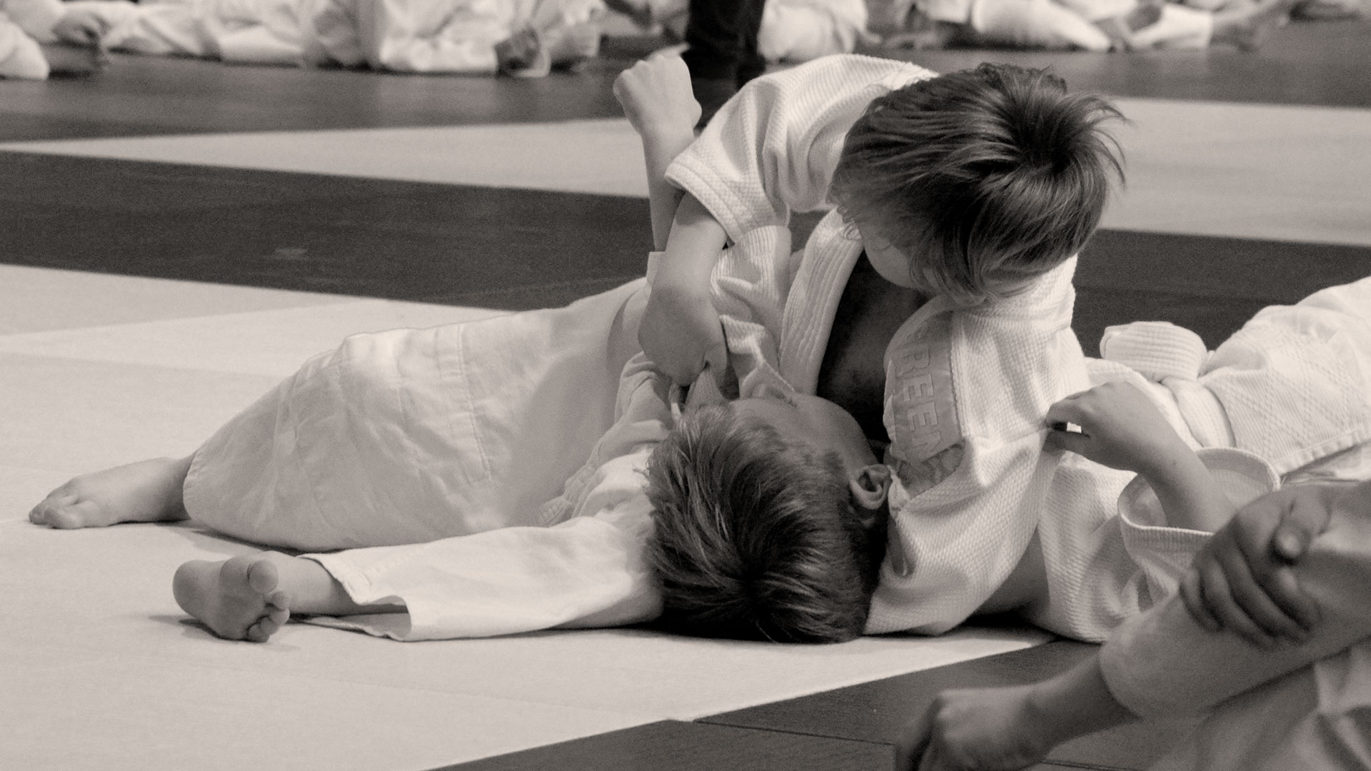 Judo klub Muta